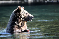 Classic Chilcotin Photo adventure