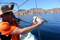 Cortez Fishing Tour